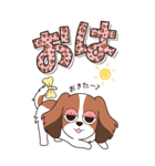 『コイケル』ハピチャラ☆1（個別スタンプ：4）