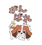 『コイケル』ハピチャラ☆1（個別スタンプ：13）