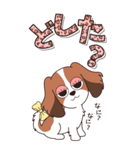 『コイケル』ハピチャラ☆1（個別スタンプ：23）
