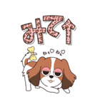『コイケル』ハピチャラ☆1（個別スタンプ：25）