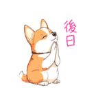 やんわりと断るスタンプ（個別スタンプ：9）