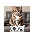 ごきげんニャんこ 40表情（個別スタンプ：4）