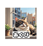 ごきげんニャんこ 40表情（個別スタンプ：5）