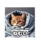 ごきげんニャんこ 40表情（個別スタンプ：6）