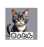 ごきげんニャんこ 40表情（個別スタンプ：8）