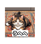 ごきげんニャんこ 40表情（個別スタンプ：10）
