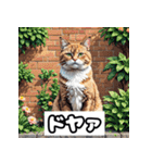 ごきげんニャんこ 40表情（個別スタンプ：11）