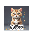 ごきげんニャんこ 40表情（個別スタンプ：17）