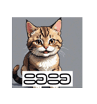 ごきげんニャんこ 40表情（個別スタンプ：19）