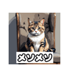ごきげんニャんこ 40表情（個別スタンプ：20）