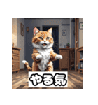 ごきげんニャんこ 40表情（個別スタンプ：22）