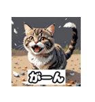 ごきげんニャんこ 40表情（個別スタンプ：23）