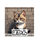 ごきげんニャんこ 40表情（個別スタンプ：26）