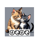 ごきげんニャんこ 40表情（個別スタンプ：31）