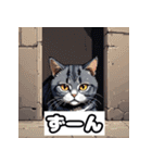 ごきげんニャんこ 40表情（個別スタンプ：38）