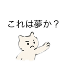 編み物ねこさん（個別スタンプ：6）