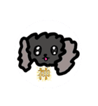 くろまめまめお（個別スタンプ：6）