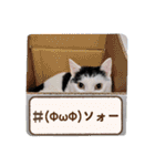 きらべるのスタンプ3（個別スタンプ：2）