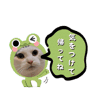 きらべるのスタンプ3（個別スタンプ：14）