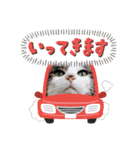 きらべるのスタンプ3（個別スタンプ：17）