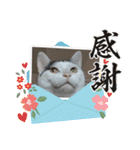 きらべるのスタンプ3（個別スタンプ：24）