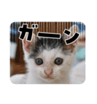 きらべるのスタンプ3（個別スタンプ：38）