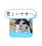 きらべるのスタンプ3（個別スタンプ：39）