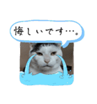 きらべるのスタンプ3（個別スタンプ：40）
