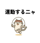 運動ねこさん（個別スタンプ：1）
