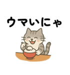 運動ねこさん（個別スタンプ：2）