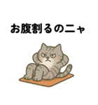 運動ねこさん（個別スタンプ：3）