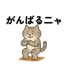 運動ねこさん（個別スタンプ：6）