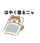 運動ねこさん（個別スタンプ：8）