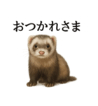 仕事終わりの一言〜リアルすぎるフェレット（個別スタンプ：3）