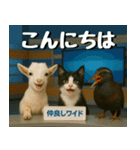 仲良し三匹、ニュースキャスター編（個別スタンプ：2）