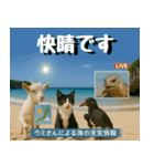 仲良し三匹、ニュースキャスター編（個別スタンプ：6）