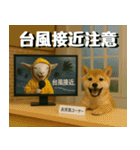 仲良し三匹、ニュースキャスター編（個別スタンプ：8）