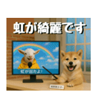 仲良し三匹、ニュースキャスター編（個別スタンプ：10）