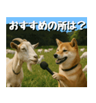 仲良し三匹、ニュースキャスター編（個別スタンプ：11）