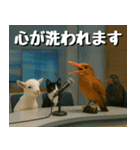 仲良し三匹、ニュースキャスター編（個別スタンプ：20）