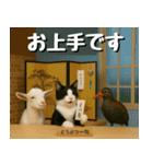 仲良し三匹、ニュースキャスター編（個別スタンプ：21）