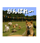 仲良し三匹、ニュースキャスター編（個別スタンプ：22）