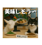 仲良し三匹、ニュースキャスター編（個別スタンプ：24）