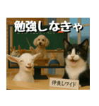 仲良し三匹、ニュースキャスター編（個別スタンプ：25）
