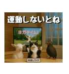 仲良し三匹、ニュースキャスター編（個別スタンプ：26）
