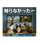 仲良し三匹、ニュースキャスター編（個別スタンプ：27）