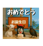 仲良し三匹、ニュースキャスター編（個別スタンプ：37）