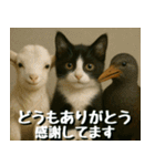 仲良し三匹、ニュースキャスター編（個別スタンプ：38）