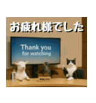 仲良し三匹、ニュースキャスター編（個別スタンプ：40）