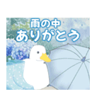 雨の日のほっこり気遣いポップアップ（個別スタンプ：24）